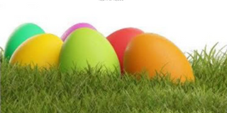 Champagne Dreams and Plastic Eggs