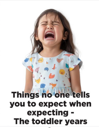 Things No One Tells You To Expect When Expecting - The Toddler Years