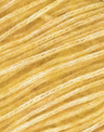 07 Mimosa