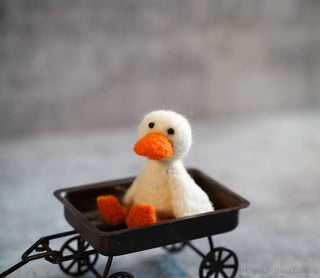 Bear Creek Felting - Duck Needle Felting Kit