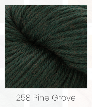 Cascade - 220 Superwash Aran