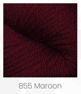 Cascade - 220 Superwash Aran