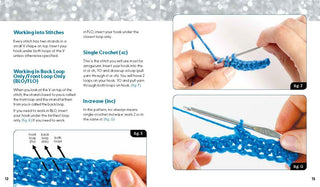 Unofficial Beyoncé Book and Crochet Kit: Includes Everything to Crochet Your Own Beyoncé - Beyoncé Book, 4 Colors of Yarn, Crochet Hook, Beads, Yarn