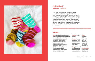 The Sock Project: Colorful, Cool Socks to Knit and Show Off