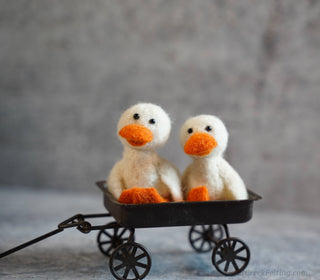 Bear Creek Felting - Duck Needle Felting Kit