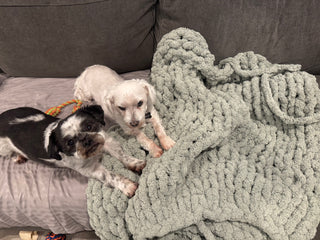 Beginner Hand Knitting Blanket Class - 12/12