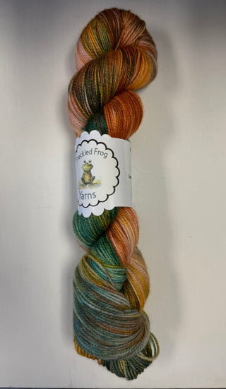 Freckled Frog Yarns - High Twist Sock MCN