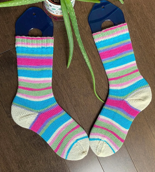 Turtlepurl Yarns - Striped Turtle Toes