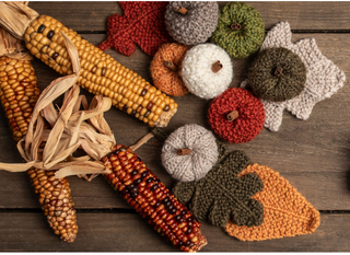 Blue Sky Fibers - Woolstok Bundle