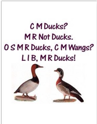 Freckled Frog Yarns - Super Silky 50/50