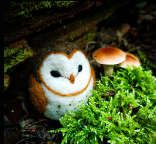 Barn Owl - BEGINNER Needle Felting Class 1/3