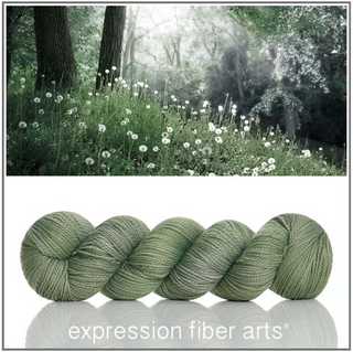 Expression Fiber Arts TRUNK SHOW Yarns