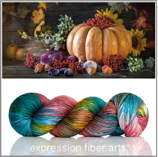 Expression Fiber Arts TRUNK SHOW Yarns