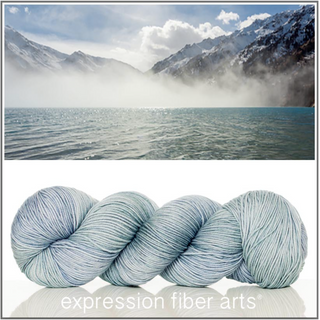 Expression Fiber Arts TRUNK SHOW Yarns