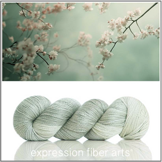 Expression Fiber Arts TRUNK SHOW Yarns