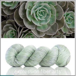 Expression Fiber Arts TRUNK SHOW Yarns
