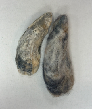 Oyster Shell Needle Felting Class - 9/19