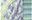 Pop Sock 403 Morning Glory