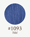 1093 Tidal