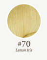 70 Lemon Iris