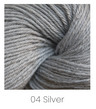 Silver 04