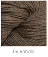 Brindle 09