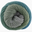 205 Aqua Sage