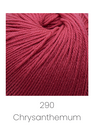 Chrysanthemum 290