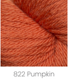 Pumpkin 822