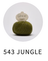 543 Jungle