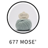 677 Mose