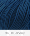 Blueberry 848