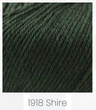 Shire 1918