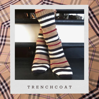 Turtlepurl Yarns - Striped Turtle Toes