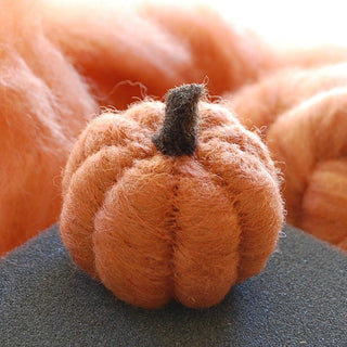 Pumpkin Needle Felting Kit