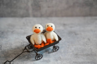 Bear Creek Felting - Duck Needle Felting Kit