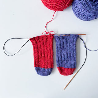 Toasty Fingers and Toes - Two at a time socks- 2/22