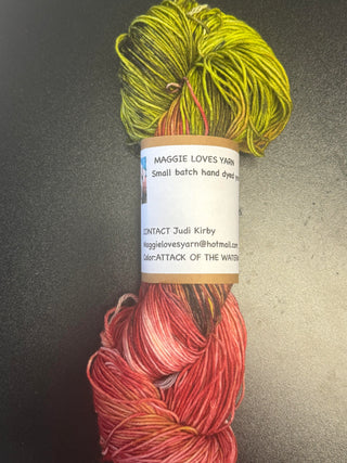 Maggie Loves Yarn - Locally Hand Dyed Yarn